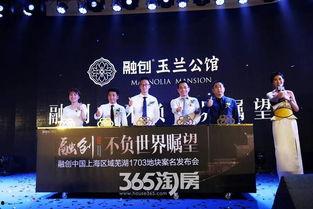 芜湖融创爆料最新事件,揭秘项目进展与争议焦点